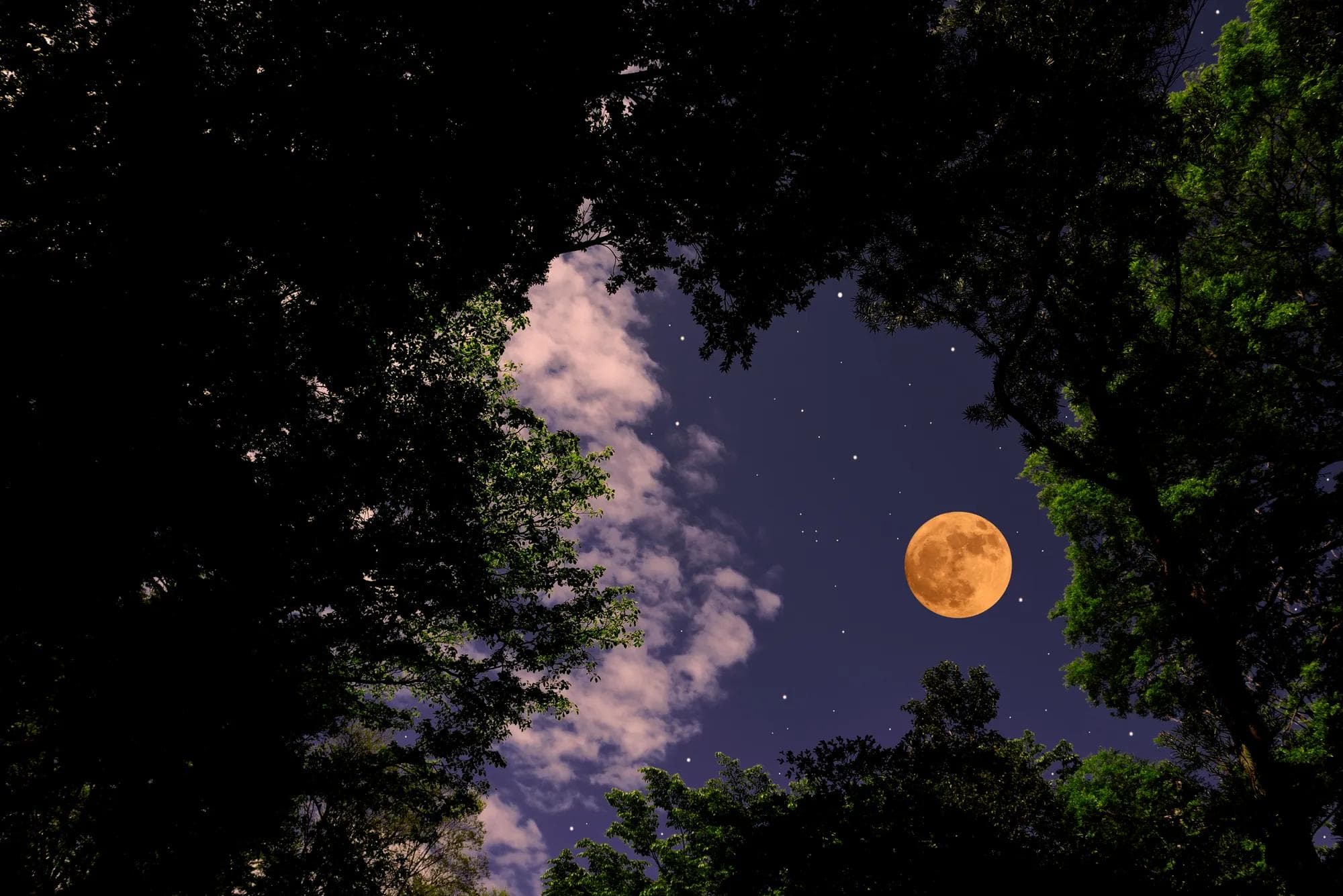 Mining on the Moon for Sustainable Energy
