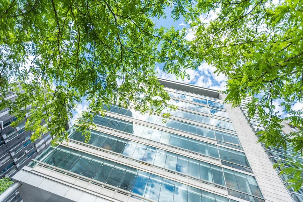 Des immeubles de bureaux visibles à l’arrièreplan, derrière des arbres, par une journée ensoleillée.