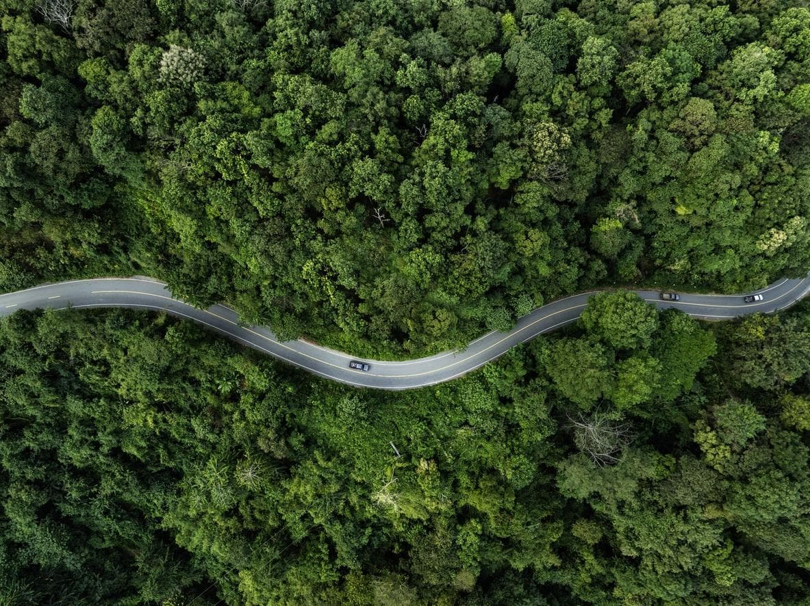 Vue aérienne d’une route au milieu de la forêt avec des arbres verts. 