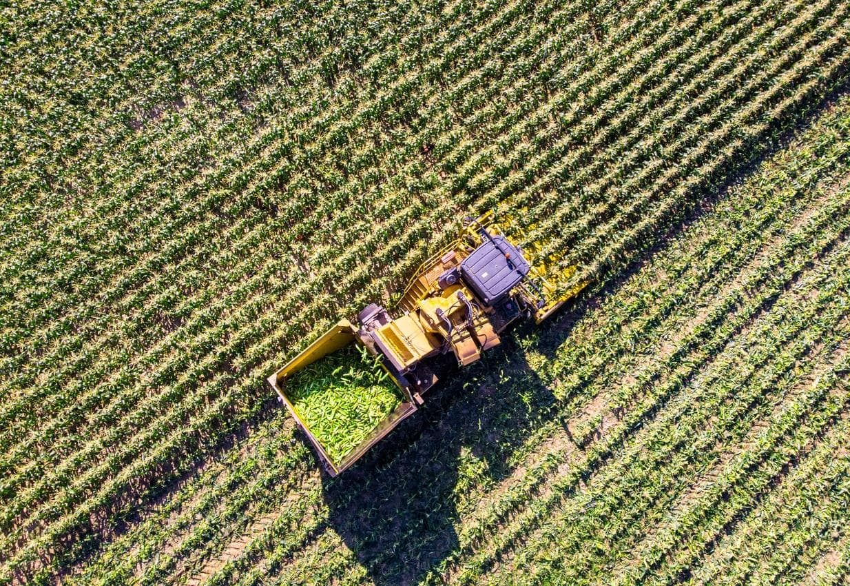 Vue aérienne par drone d’une moissonneuse-batteuse récoltant du maïs dans un vaste champ agricole.
