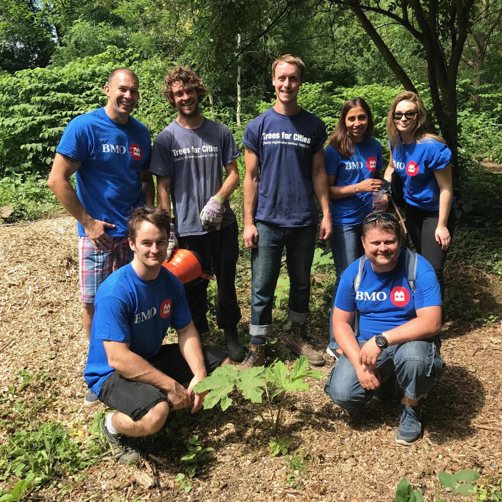 Employee giving volunteering