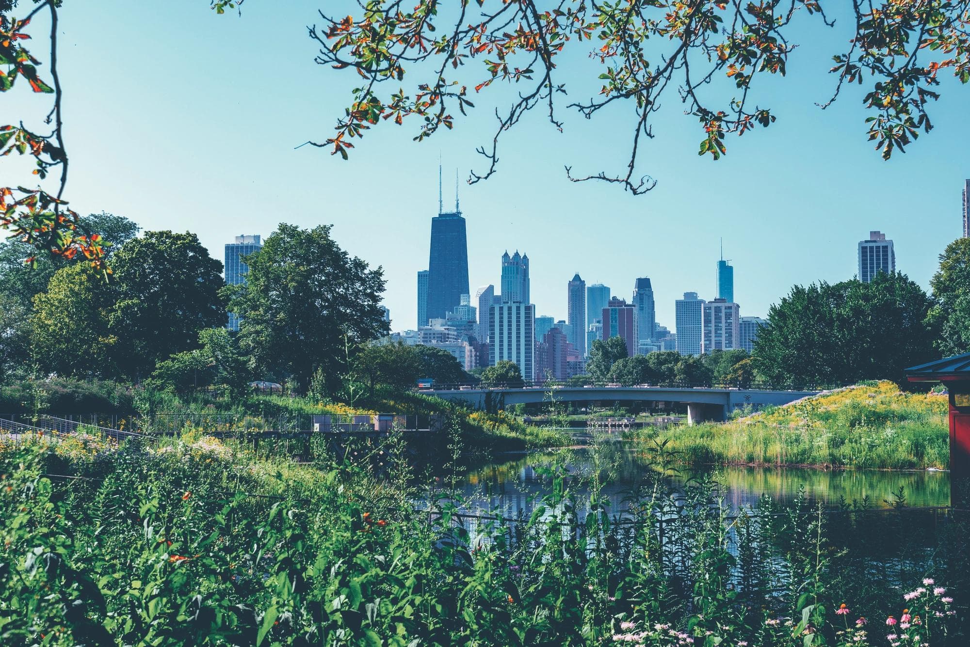 The Chicago skyline with trees and flora from Lincoln Park in the foreground.