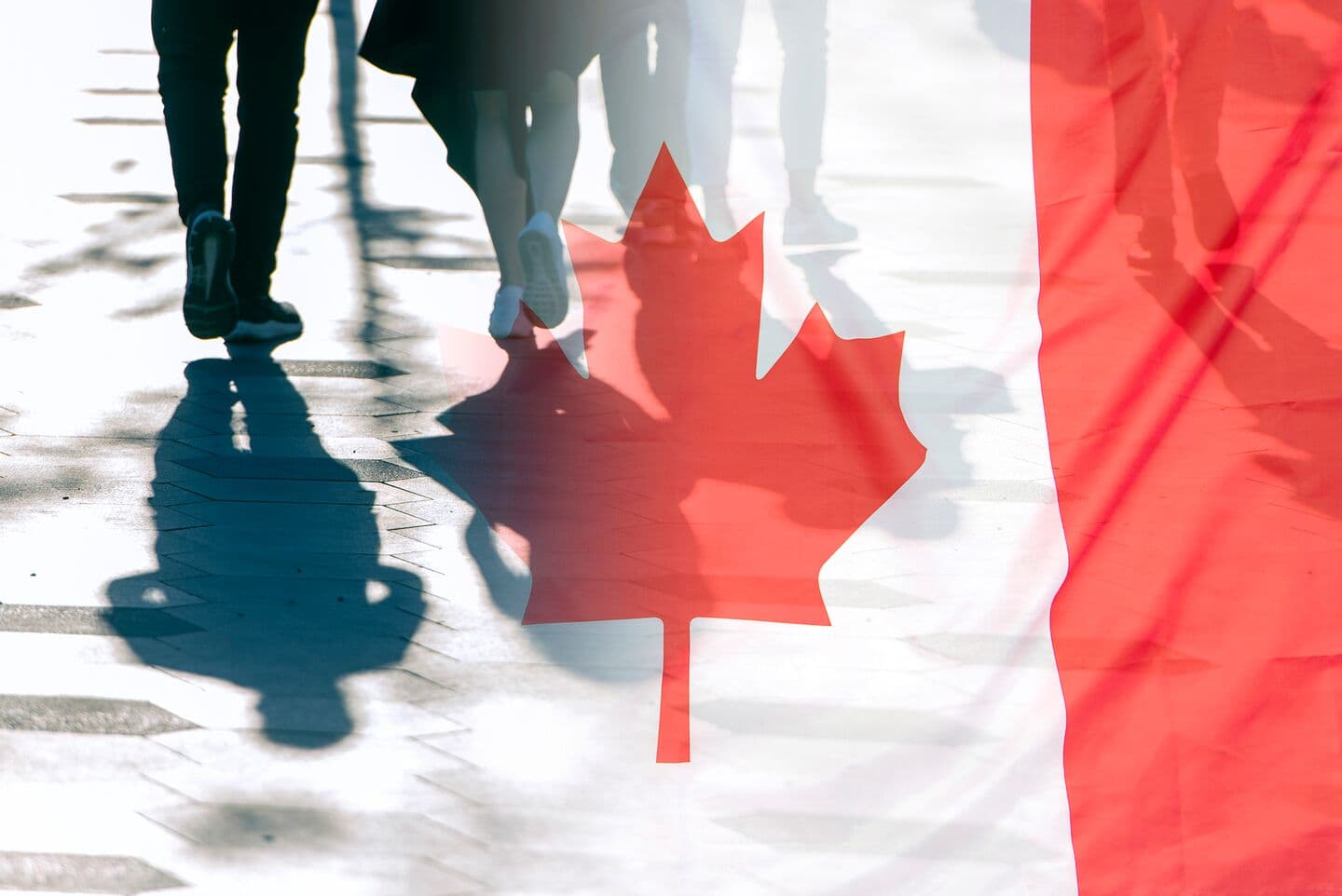 Drapeau du Canada à Toronto