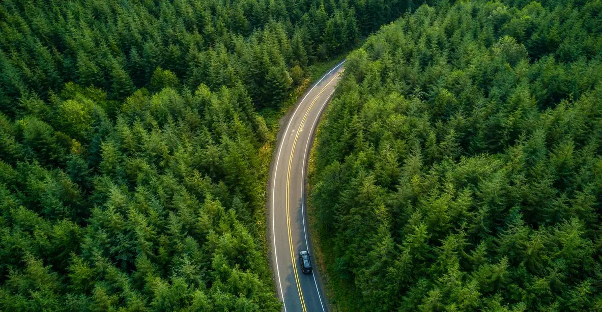 Path to credit development at BMO