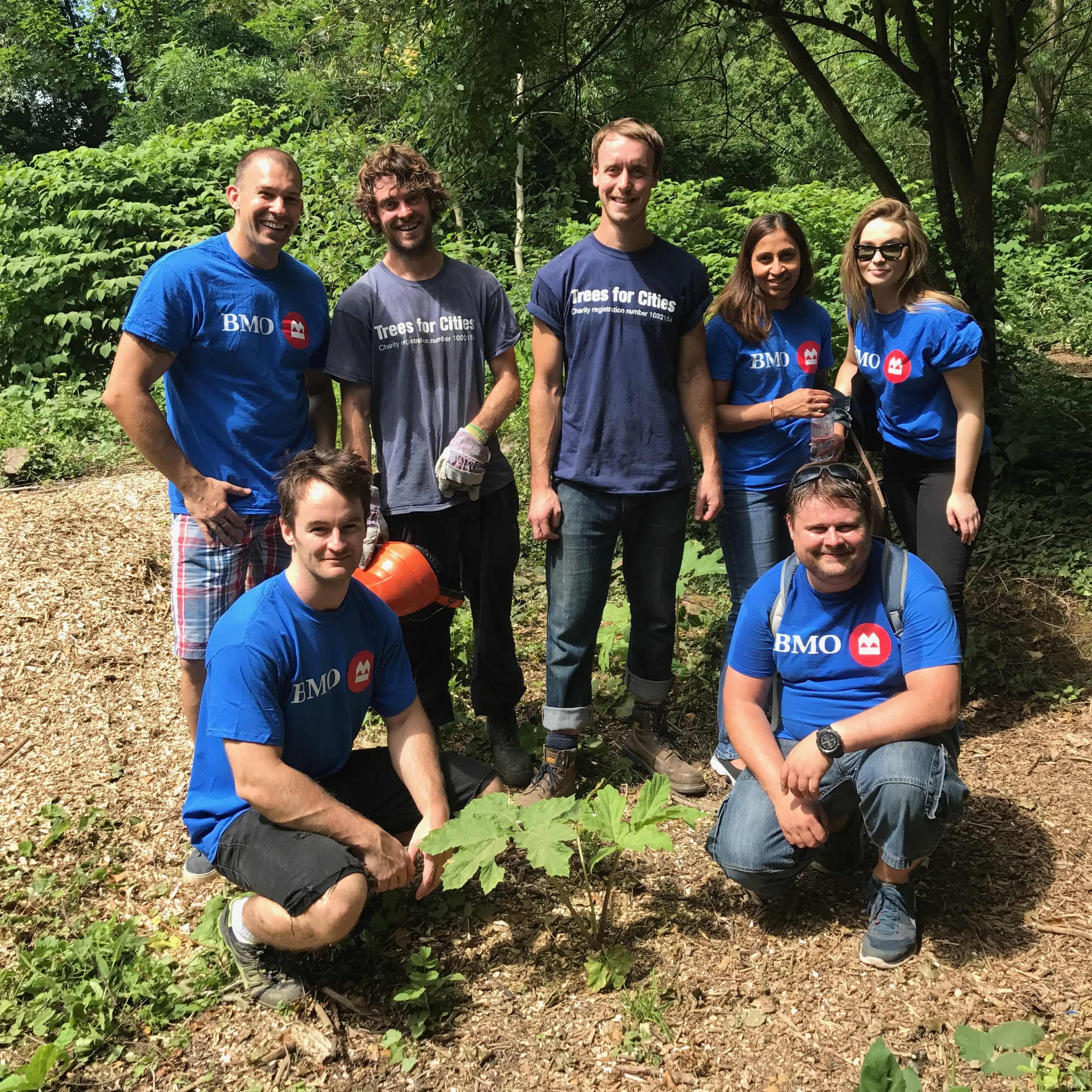 Connecting through volunteering