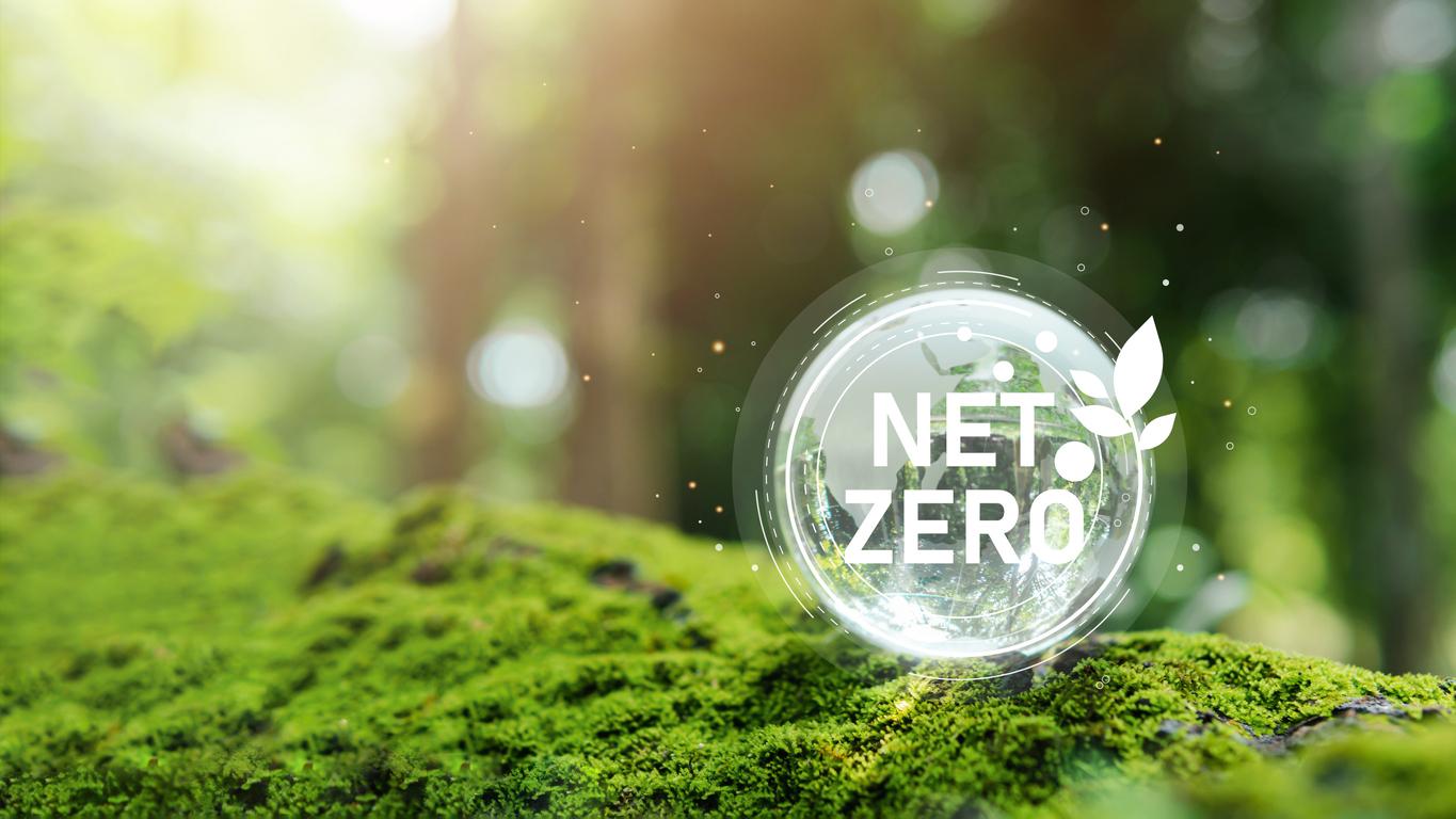 net zero
