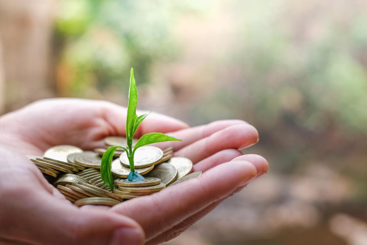 hand holding a young tree growing on coins