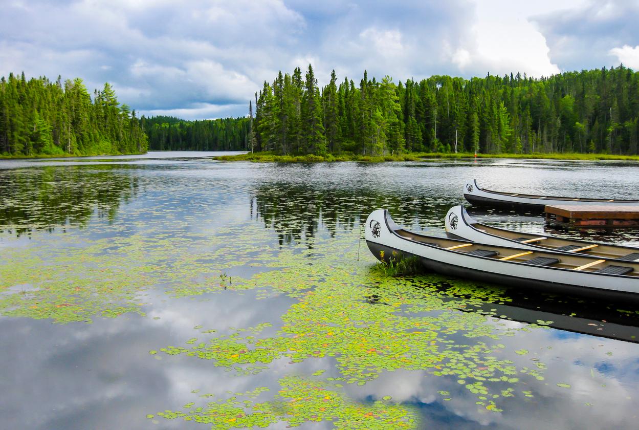 canoes on a lake