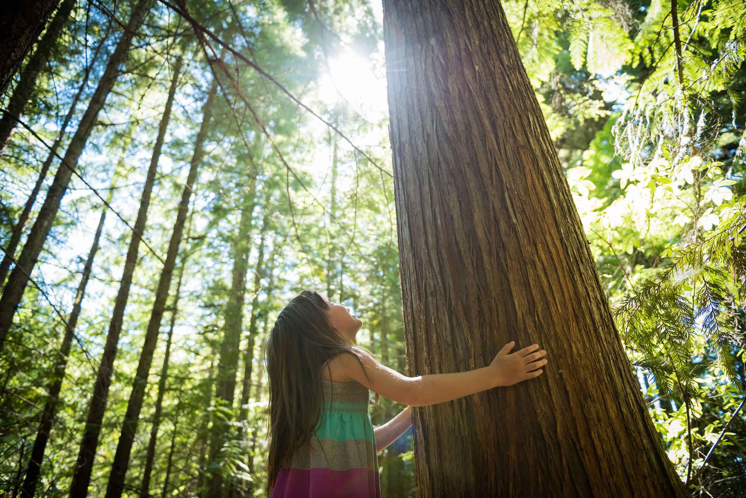 enfant dans la forêt