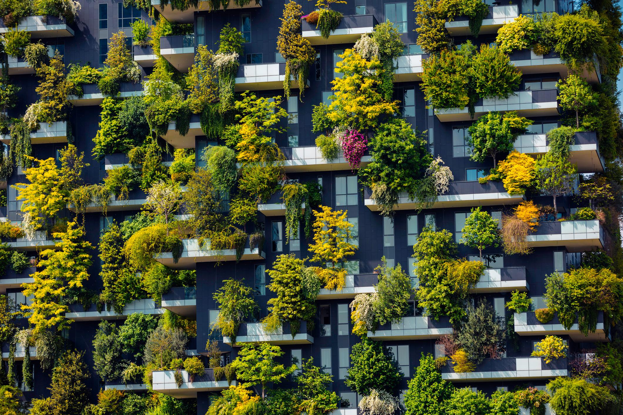Forêt verticale sur un gratte-ciel