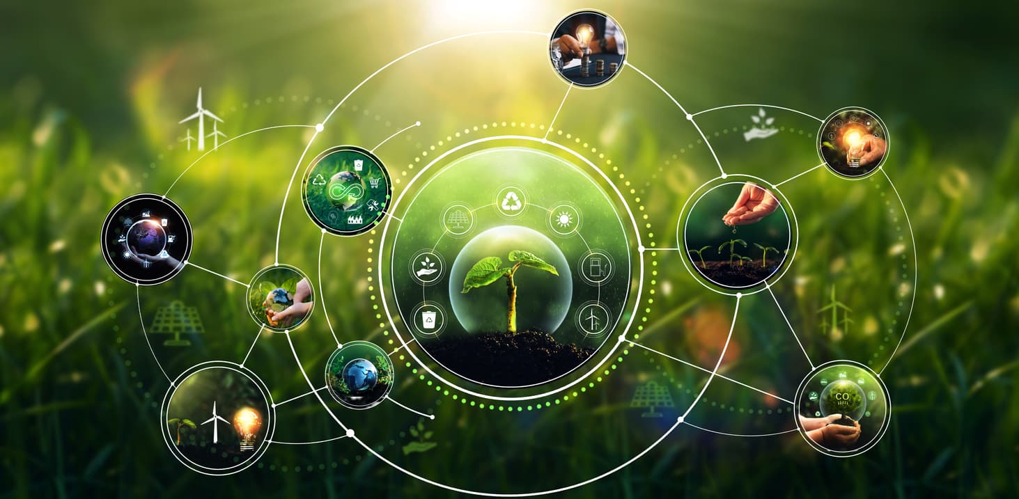 climate solutions