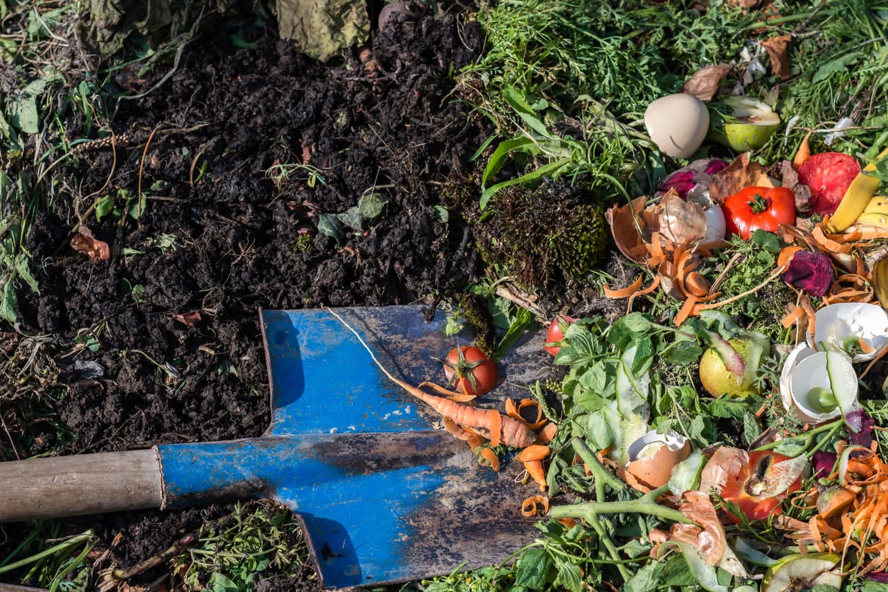 food waste