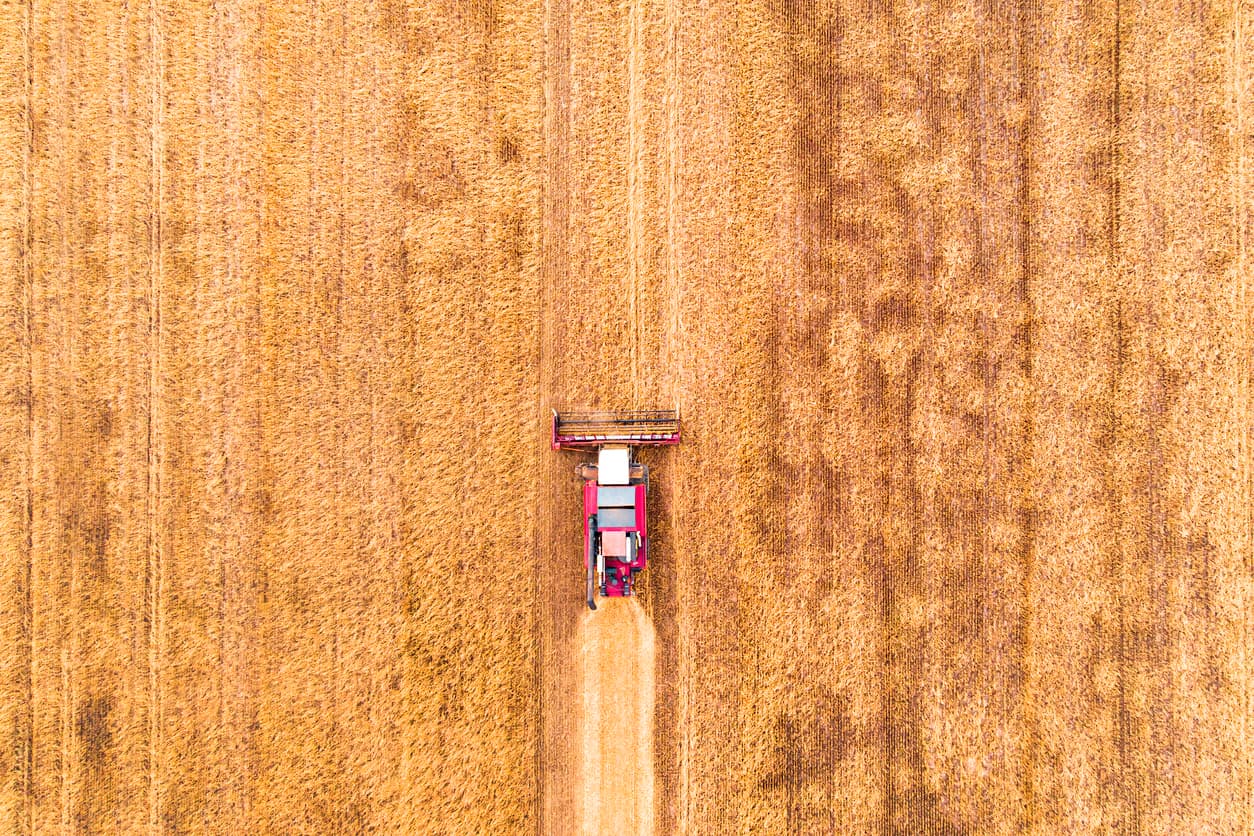 farm