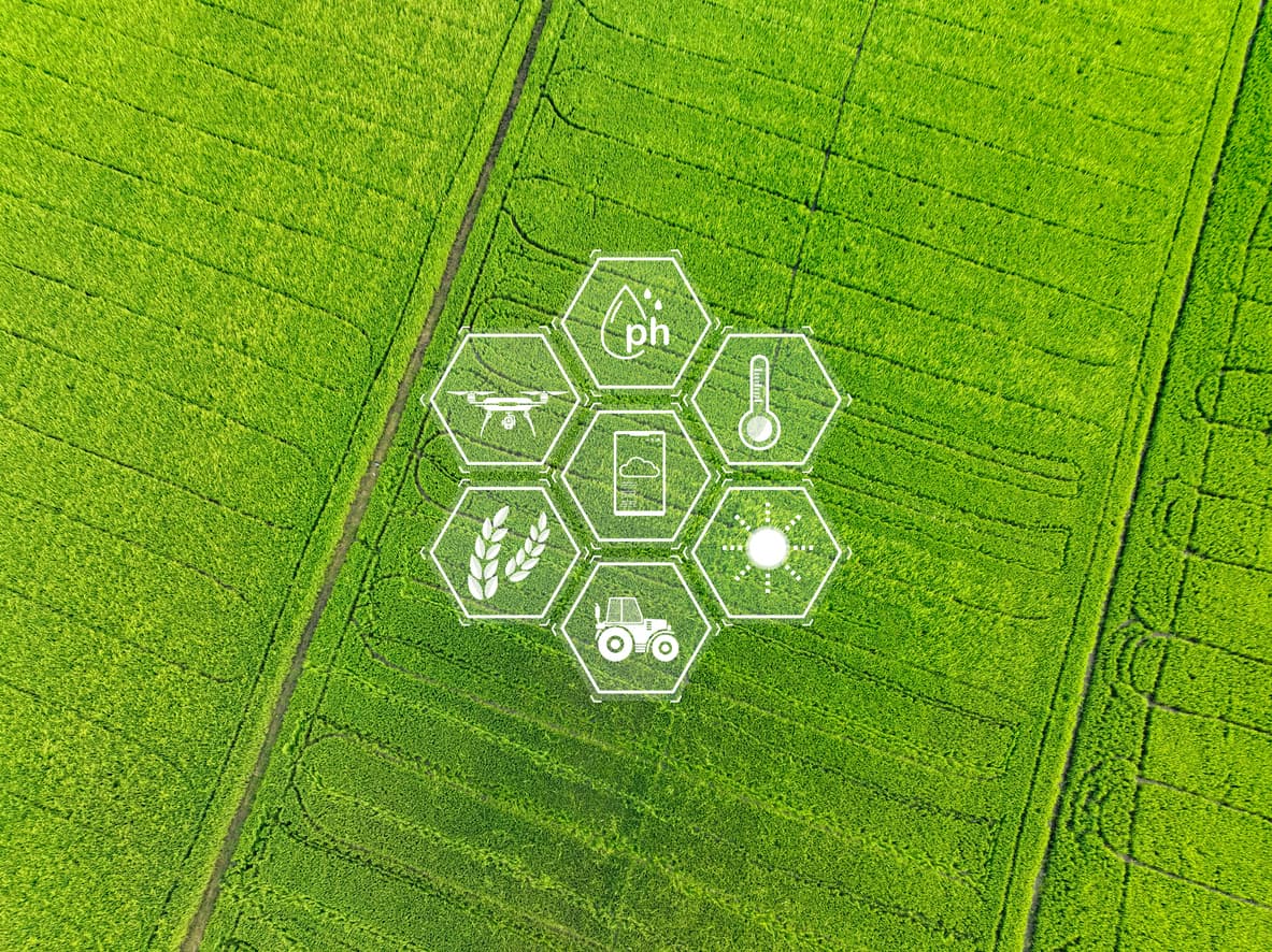 Sustainable food concept