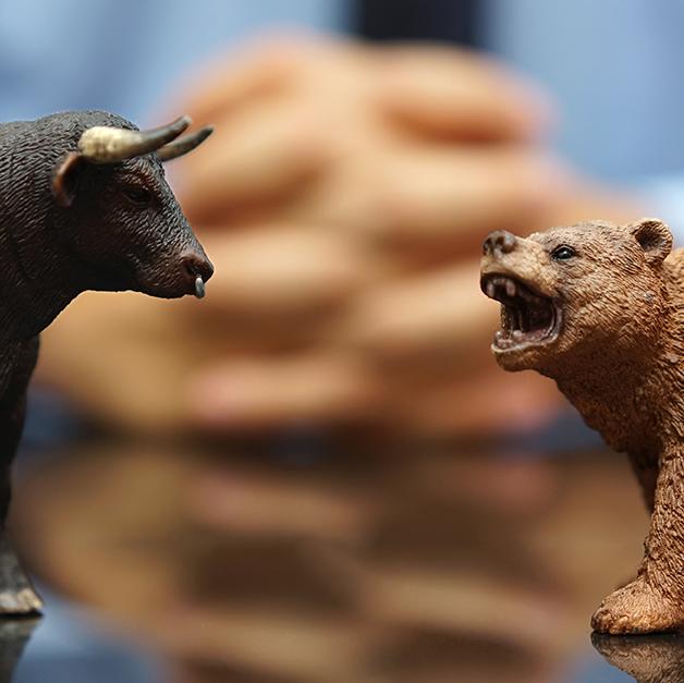 bear & bull figurines